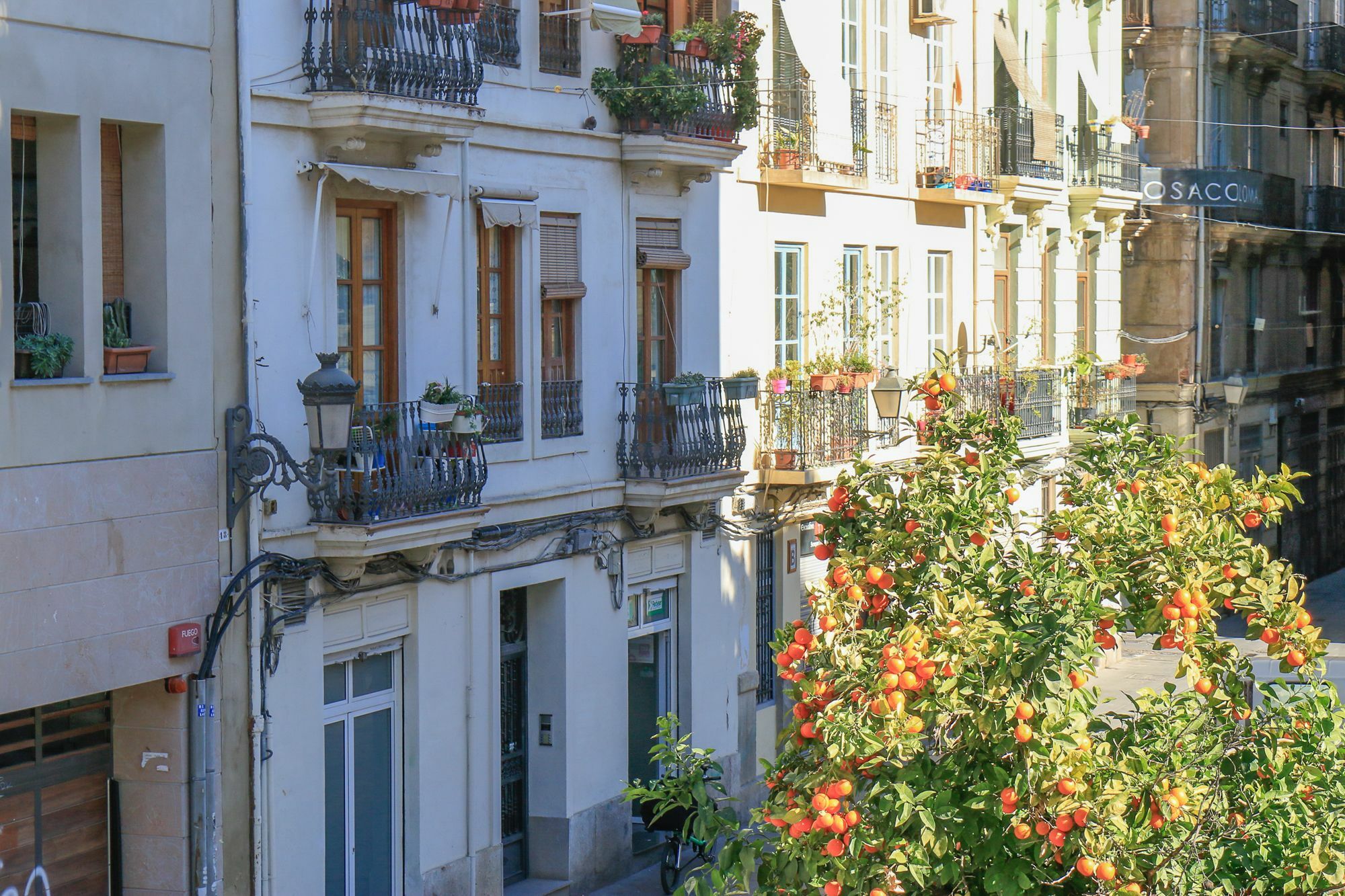 Ecobet Apartments Valencia Exteriör bild